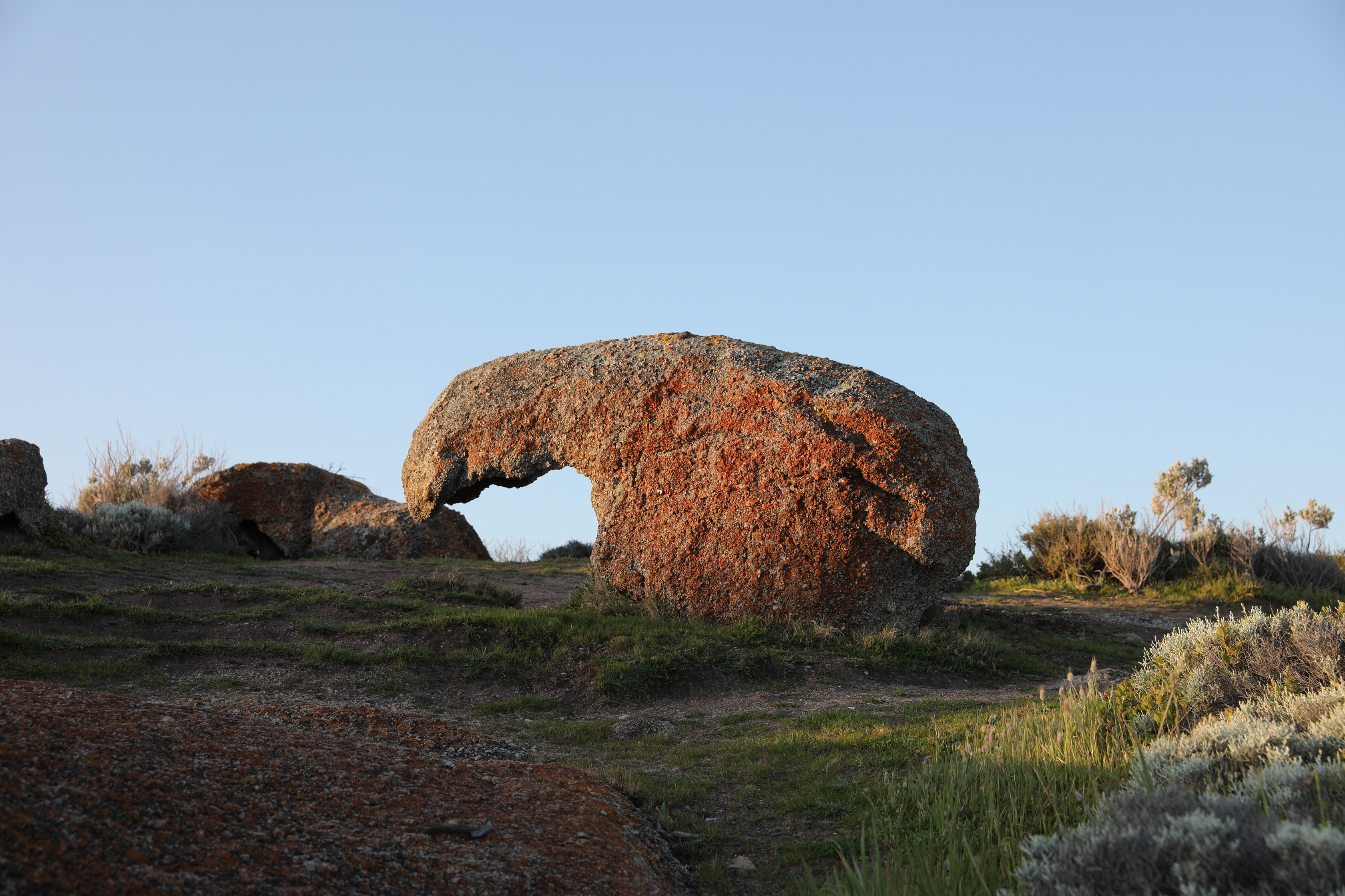 2019 09 28 17 41 57 Canon EOS 5D Mark IV 0050